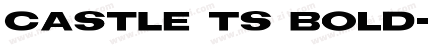 CASTLE TS BOLD字体转换